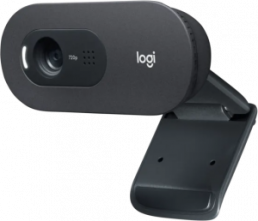 Logitech Webcam C505e, HD 720p, schwarz1280x720, 30 FPS, USB, Business