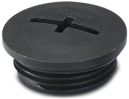 Locking screw, Slotted/crosstip, PG16, Ø 27 mm, 9.5 mm, polyamide