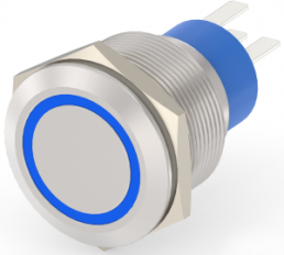 Pushbutton, 1 pole, silver, illuminated  (blue), 5 A/250 V, mounting Ø 22.2 mm, IP67, 1-2213772-9