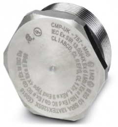 Locking screw, external hexagon, M25, Ø 33 mm, 24 mm, brass