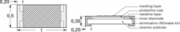 Resistor, thick film, SMD 0402 (1005), 620 mΩ, 0.063 W, ±1 %, RL0402FR-070R62L