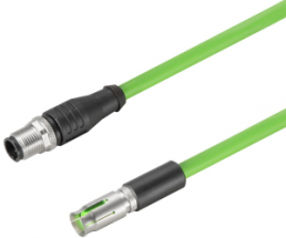 Sensor actuator cable, M12-cable socket, straight to M12-cable socket, straight, 8 pole, 3 m, PUR, green, 0.5 A, 2503820300