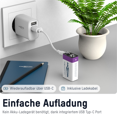 1315-0005 Ansmann Rundzellen-Akkus, 9V-Block-Akkus Bild 3