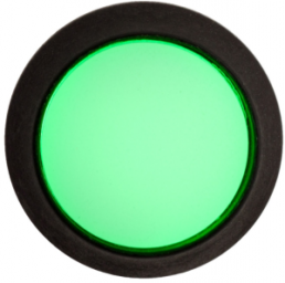 Drucktaster, 1-polig, schwarz, beleuchtet (grün/blau), 0,4 A/32 V, Einbau-Ø 12 mm, IP67, FL12DGB5