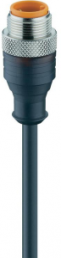 Sensor-Aktor Kabel, M12-Kabelstecker, gerade auf offenes Ende, 3-polig, 10 m, PUR, schwarz, 4 A, 43702