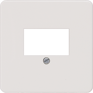 DELTA profil Abdeckplatte für TAE-/Lautsprecher- Multimediaanschlüsse, silber, 5TG17602