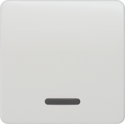 DELTA profil Wippe mit Fenster für Kontroll-/Aus-/Wechselschalter, titanweiß, 5TG7800