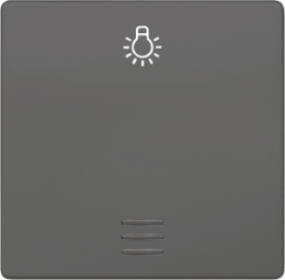 DELTA i-system Wippe mit Fenster und Symbol Licht,carbonmetallic, 5TG6226