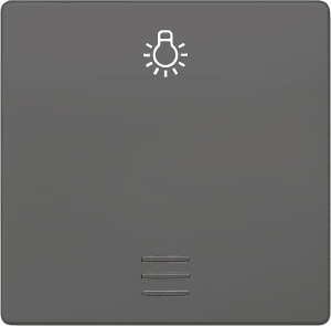 DELTA i-system Wippe mit Fenster und Symbol Licht,carbonmetallic, 5TG6226