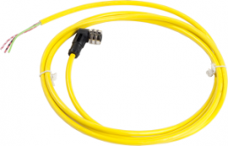 Sensor-Aktor Kabel, Kabeldose, abgewinkelt auf offenes Ende, 3-polig, 2 m, PVC, schwarz, 4 A, XZCPV1965L2