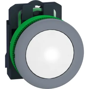 XB5FVM1C0 Schneider Electric Betätiger und Meldeelemente