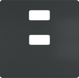 DELTA style Abdeckplatte für Doppel-USB-Ladegerätvertikal, carbonmetallic, 5TG25780CM