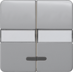 DELTA profil Wippe mit Fenster und Schriftfeld, platinmetallic, 5TG7937