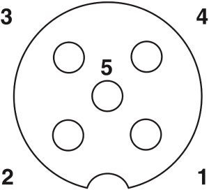 Adapter, M12 (5-polig, Buchse) auf M12 (5-polig, Buchse), Y-Form, 1698013