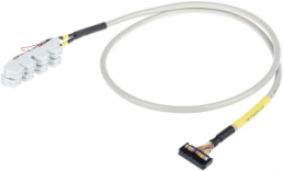 Sensor-Aktor Kabel, 2-polig, 2 m