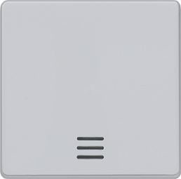 DELTA i-system Wippe mit Fenster für Kontroll-/Aus-/Wechselschalter, aluminiu..., 5TG6240