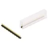SL LP 5 SMD 038 19 G SM Fischer Elektronik Steckverbindersysteme