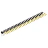 SL 3 101 31 S Fischer Elektronik Steckverbindersysteme
