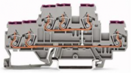 3-Leiter-Doppelstockklemme, Federklemmanschluss, 0,08-2,5 mm², 2-polig, 24 A, 6 kV, grau, 870-538
