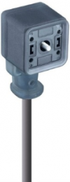 Sensor-Aktor Kabel, Ventilstecker auf offenes Ende, 2-polig, 10 m, PVC, grau, 7318