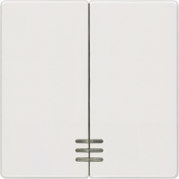 DELTA i-system Wippe 2-fach mit Fenster für Serienschalter, titanweiß, 5TG6204