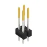 SL 22 164 4 S Fischer Elektronik Steckverbindersysteme