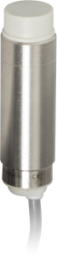 Näherungsschalter, Einbaumontage Ø 18 mm, 1 Schließer, 200 mA, Erfassungsbereich 12 mm, XS2L2SANAL2