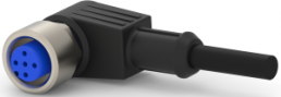 Sensor-Aktor Kabel, M12-Kabeldose, abgewinkelt auf offenes Ende, 3-polig, 1.5 m, PUR, grau, 4 A, 2273097-1