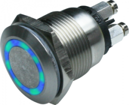 Drucktaster, 1-polig, grün/blau, beleuchtet (grün/blau), 0,5 A/24 V, Einbau-Ø 19 mm, IP66, MPI002/TERM/D5