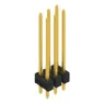 SL 22 240 6 G Fischer Elektronik Steckverbindersysteme