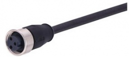 Sensor-Aktor Kabel, 7/8"-Kabeldose, gerade auf offenes Ende, 2-polig + PE, 5 m, PUR, schwarz, 21349700394050