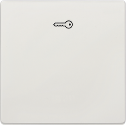 DELTA style Wippe mit Symbol Türöffner, titanweiß,5TG7148