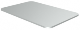 Aluminium Schild, (L x B) 26.8 x 18 mm, silber, 1 Stk