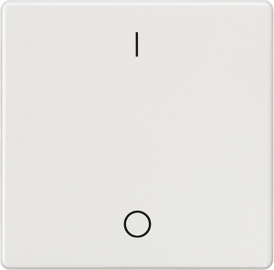 DELTA i-system Wippe mit Symbolen I/O für Ausschalter, titanweiß, 5TG6202