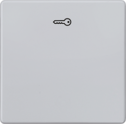 DELTA i-system Wippe mit Symbol Türöffner, aluminiummetallic, 5TG6248