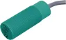 020051 PEPPERL+FUCHS Näherungsschalter, Reedschalter