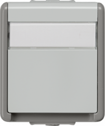 SCHUKO-Steckdose mit Schriftfeld, grau, 16 A/250 V, Deutschland, IP20, 5UB4713