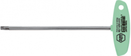 Stiftschlüssel mit Quergriff, 10IP, TORX PlUS, L 100 mm