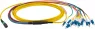 MTPF12LCOS2-1 EFB-Elektronik LWL Patchkabel, Pigtails