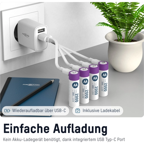 1312-0036 Ansmann Rundzellen-Akkus, 9V-Block-Akkus Bild 2