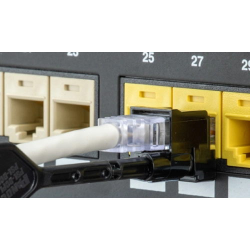PSL-DCPLE Panduit Zubehör für Netzwerksteckverbinder Bild 2