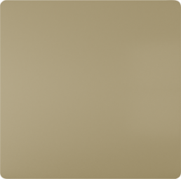 DELTA style gold Wippe neutral 68x68mm, 5TG71410MG00