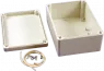 RP1210 Hammond Kleingehäuse und Modulgehäuse