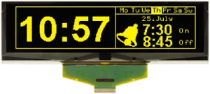 EA W256064-XGLG DISPLAY VISIONS OLED Displays