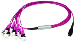 LWL-Kabel, MT/MPO auf LC, 1 m, OM4, Multimode 50/125 µm