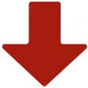 Bodenmarkierer, Symbol: Pfeil, (L x B) 127 x 50.8 mm, Polyester, RED FLOOR ARROWS 50,8 X 127
