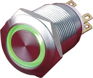 Drucktaster, 1-polig, silber, beleuchtet (grün), 5 A/250 V, Einbau-Ø 19 mm, IP65, PAV19BMFW2F6N