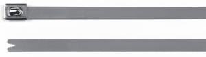 Kabelbinder, Edelstahl, (L x B) 127 x 4.6 mm, Bündel-Ø 12 bis 25 mm, silber, -80 bis 538 °C