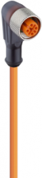 Sensor-Aktor Kabel, M12-Kabeldose, abgewinkelt auf offenes Ende, 4-polig, 2 m, PVC, orange, 4 A, 11539