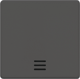 DELTA i-system Wippe mit Fenster für Kontroll-/Aus-/Wechselschalter, carbonme..., 5TG6220